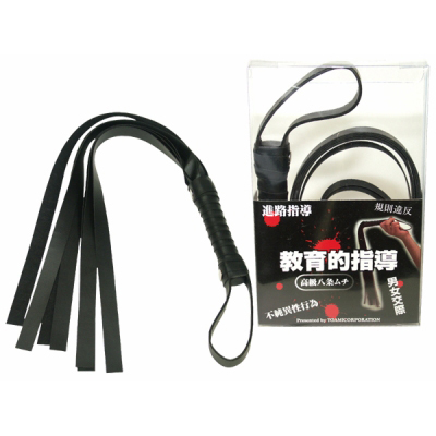 教育的指導 教育的指導
