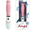 PDS@Angeiݼޭj@ݸ